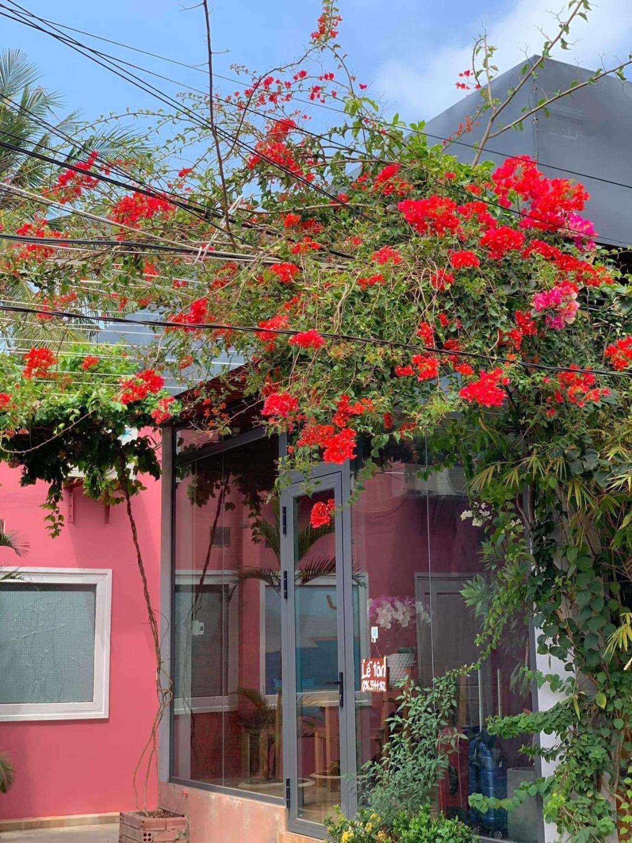 Chill House By The Beach Phu Quoc Luaran gambar